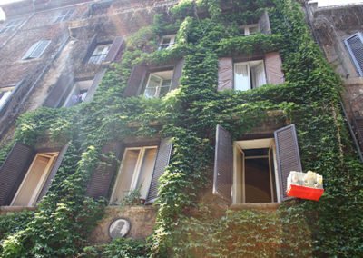 fashion research, street photography